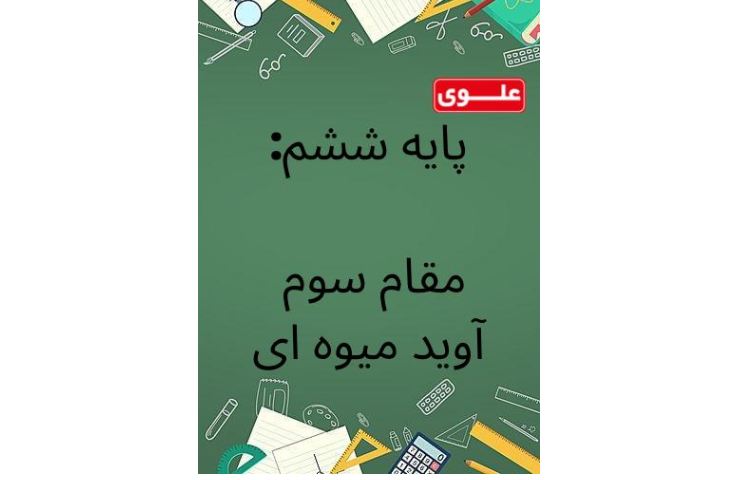 نتایج مسابقات خانم و آقای ریاضی بین شعب مدارس علوی