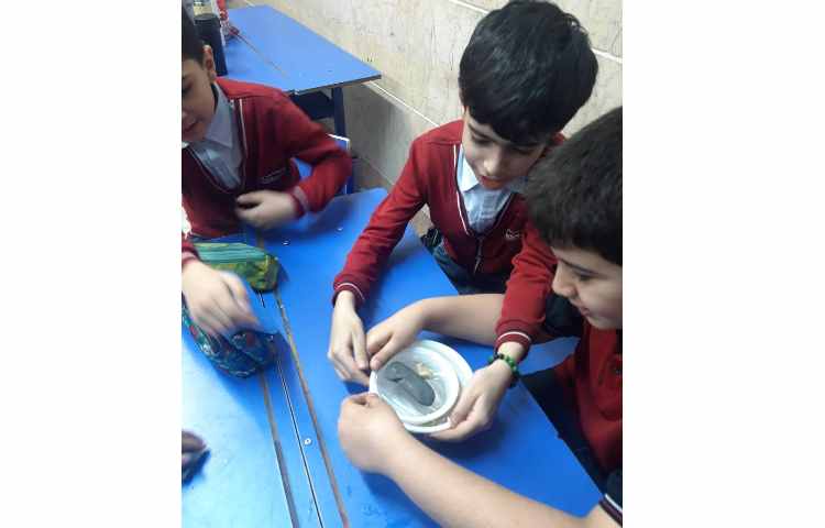 نجات اب 4