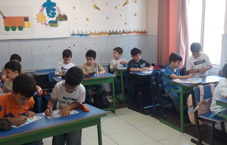 نجوم 12