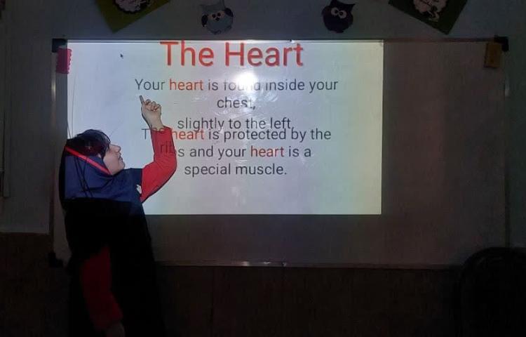 نحوه کار ریه و قلب در کلاس علوم به زبان انگلیسی