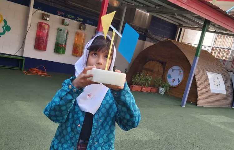 نشان دادن جهت باد با بادنما 1