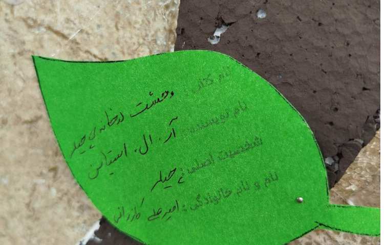 نصب درخت دانایی به مناسبت هفته ی کتاب. 22