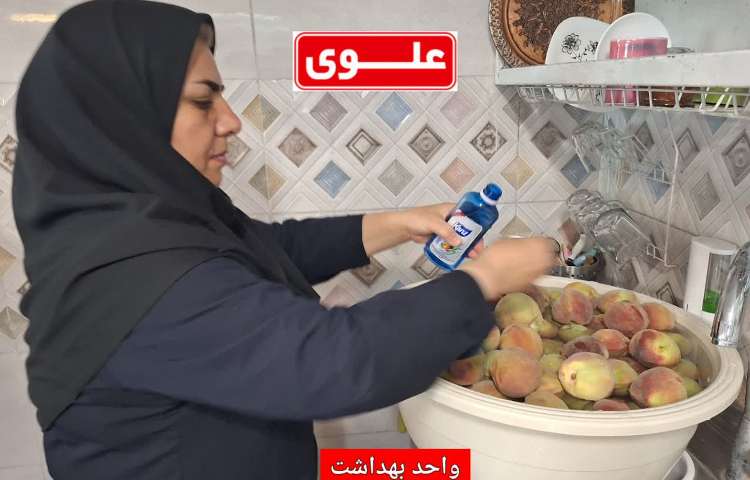 نظارت بر بهداشت و تغذیه دانش آموزان 2