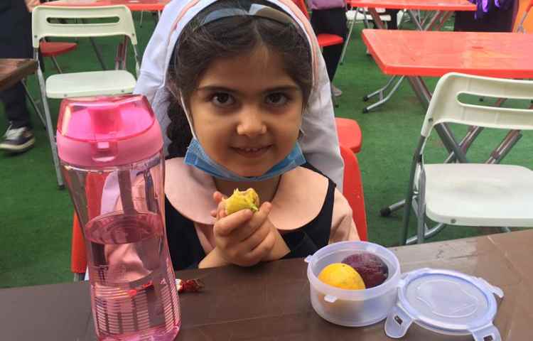 نظارت بر خوراکی مفید و غیر مفید دانش آموزان 1