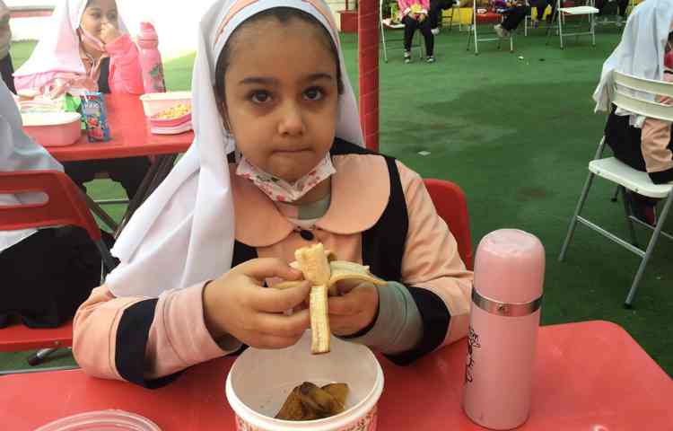 نظارت بر خوراکی مفید و غیر مفید دانش آموزان 2