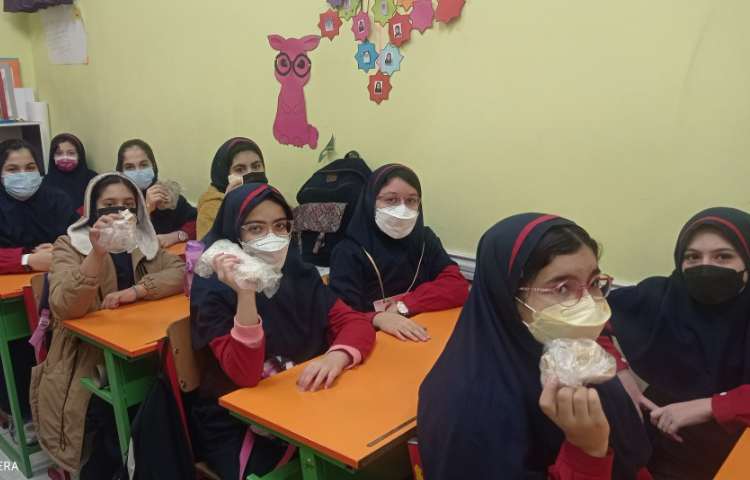 نظارت بر لقمه مادرانه 1