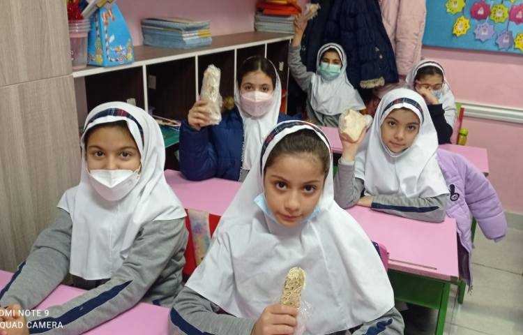 نظارت بر لقمه مادرانه 2