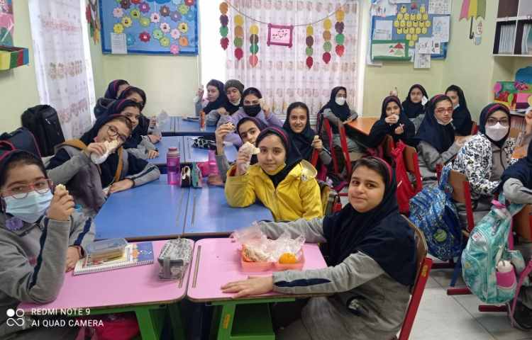 نظارت بر لقمه مادرانه 4