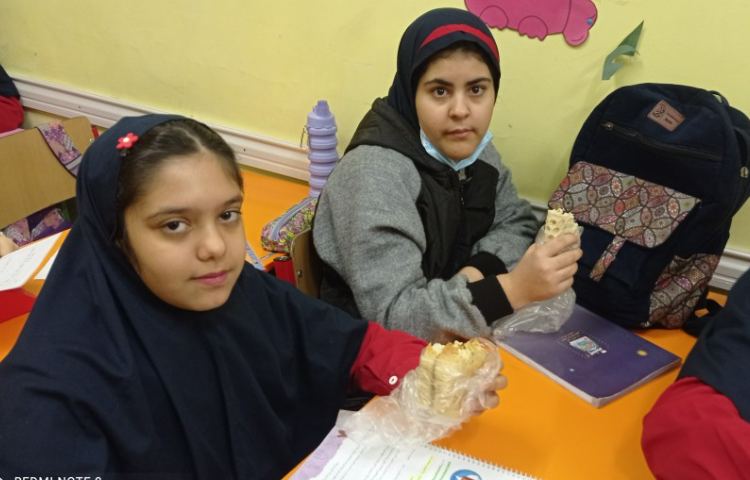 نظارت بر لقمه مادرانه 5