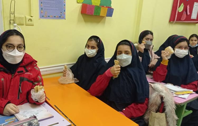 نظارت بر لقمه مادرانه 6