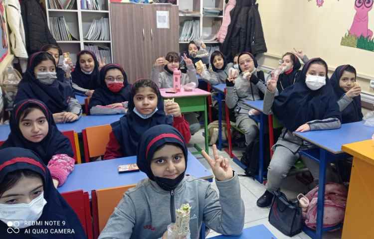 نظارت بر لقمه مادرانه