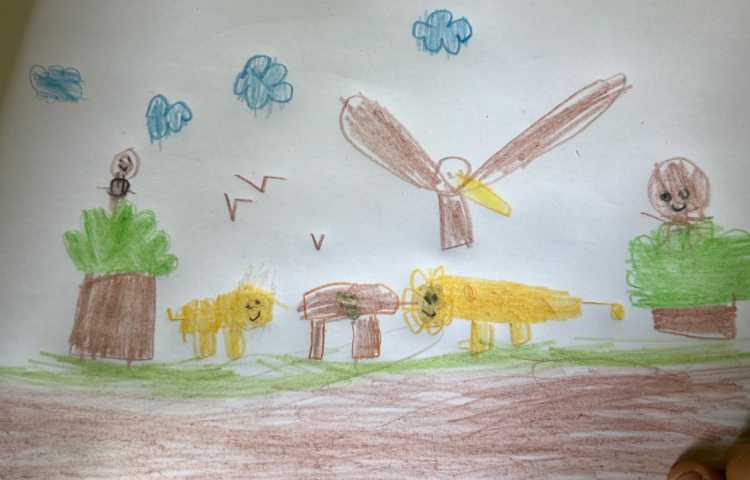 نقاشی ازاد(مهمانی حیوانات درجنگل) 3