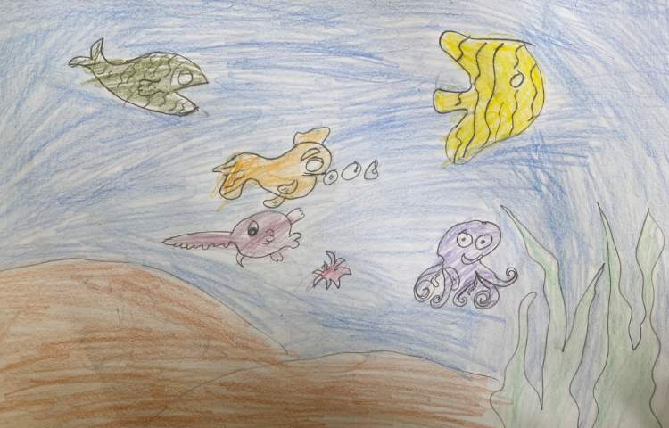 :نقاشی از آکواریوم با انواع ماهی و دریا 1