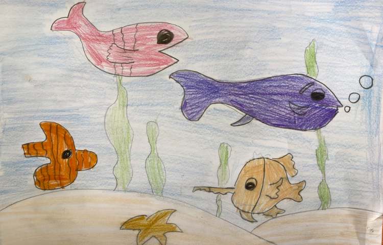 :نقاشی از آکواریوم با انواع ماهی و دریا 2