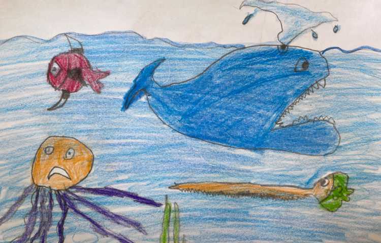 :نقاشی از آکواریوم با انواع ماهی و دریا 3