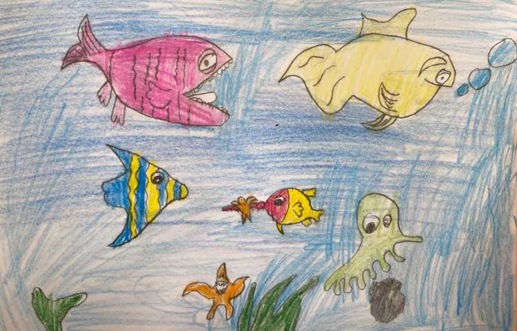 :نقاشی از آکواریوم با انواع ماهی و دریا 5