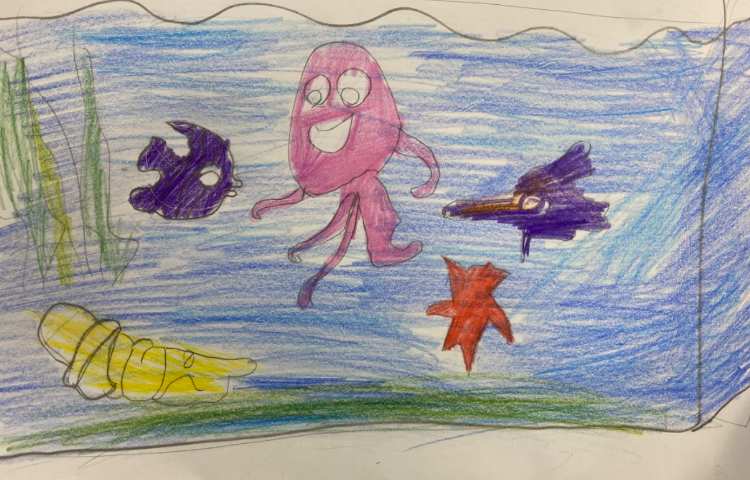 :نقاشی از آکواریوم با انواع ماهی و دریا 6