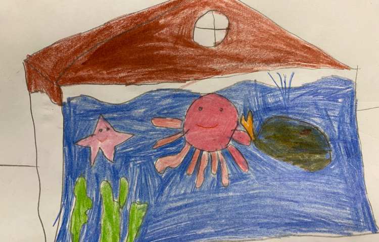 :نقاشی از آکواریوم با انواع ماهی و دریا 7