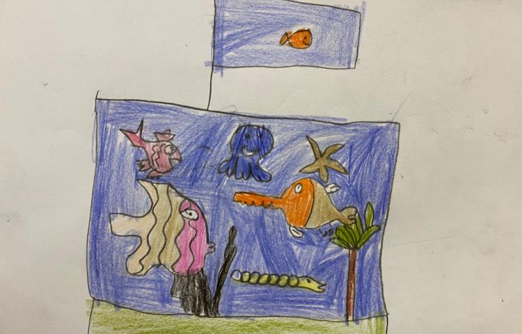 :نقاشی از آکواریوم با انواع ماهی و دریا 8