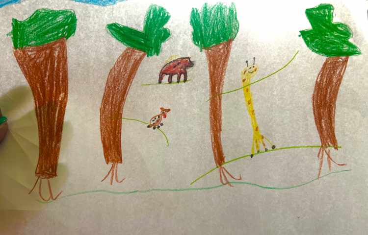 نقاشی از جنگل طبقه ای همراه حیوانات مختلف 3
