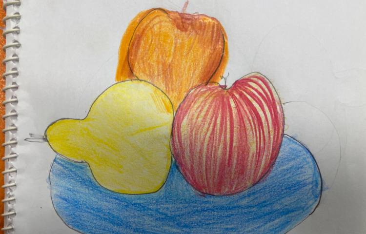 :نقاشی از میوه با سایه و روشن،متریال مداد رنگی 10