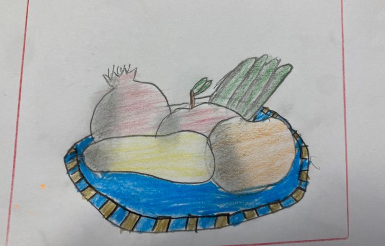 :نقاشی از میوه با سایه و روشن،متریال مداد رنگی 5