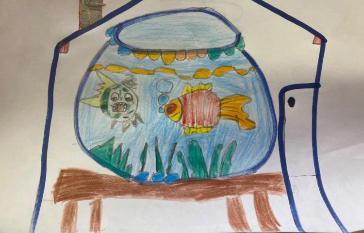:نقاشی تنگ ماهی، پایه دوم 1