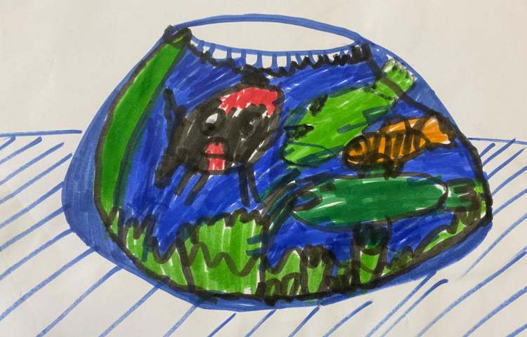 :نقاشی تنگ ماهی، پایه دوم 3