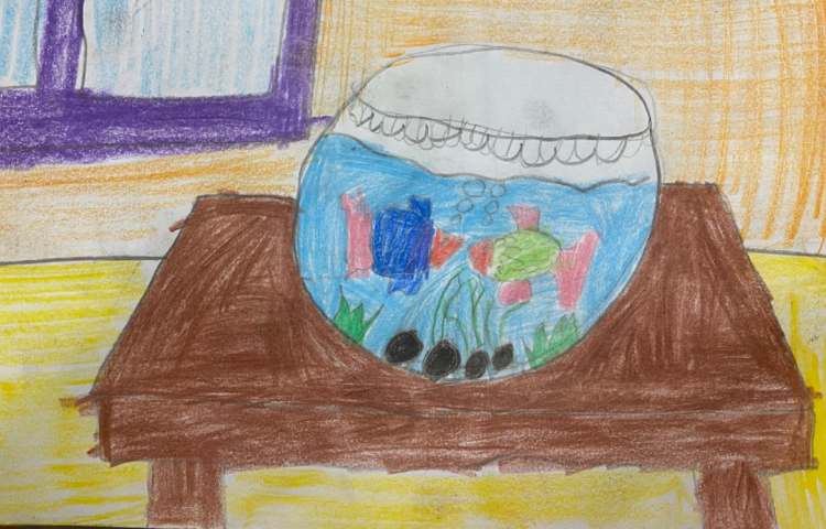 :نقاشی تنگ ماهی، پایه دوم 4