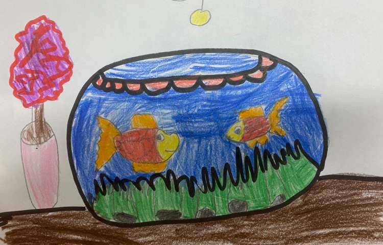 :نقاشی تنگ ماهی، پایه دوم 6