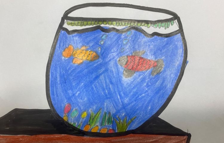 :نقاشی تنگ ماهی، پایه دوم 7