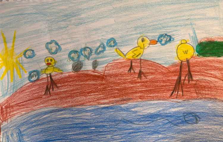 :نقاشی جوجه اردک از جهت‌های مختلف 1