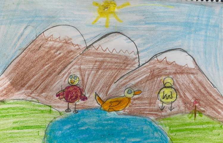 :نقاشی جوجه اردک از جهت‌های مختلف 2