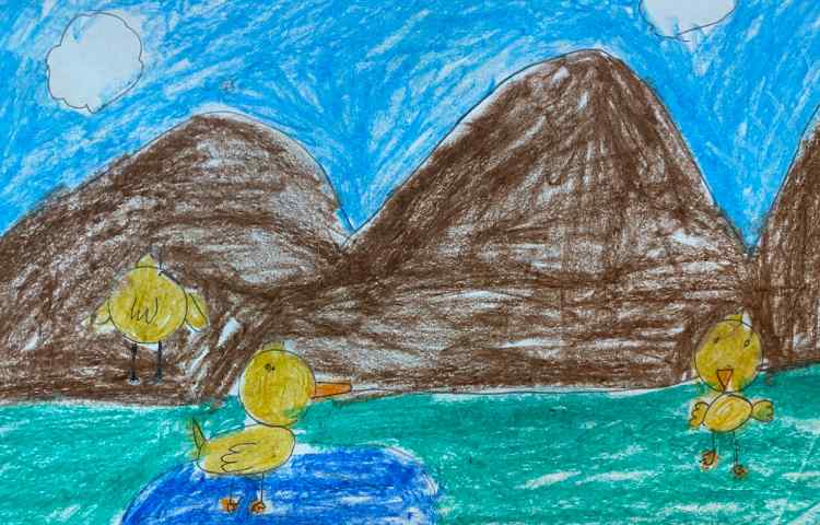 :نقاشی جوجه اردک از جهت‌های مختلف 4