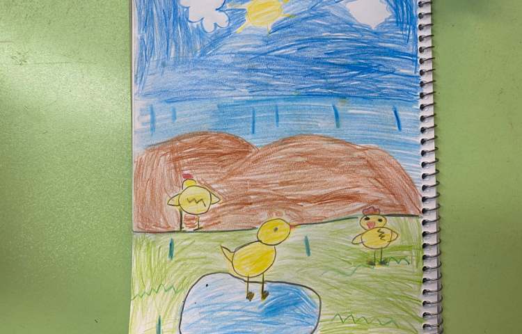 :نقاشی جوجه اردک از جهت‌های مختلف 5
