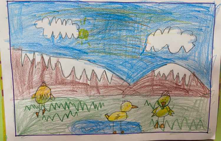 :نقاشی جوجه اردک از جهت‌های مختلف 6