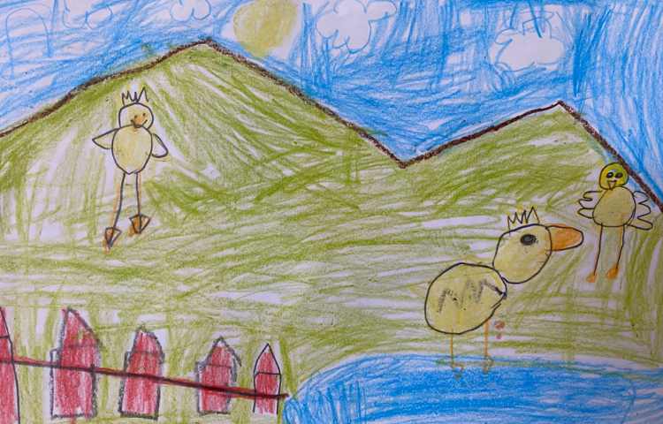 :نقاشی جوجه اردک از جهت‌های مختلف 7