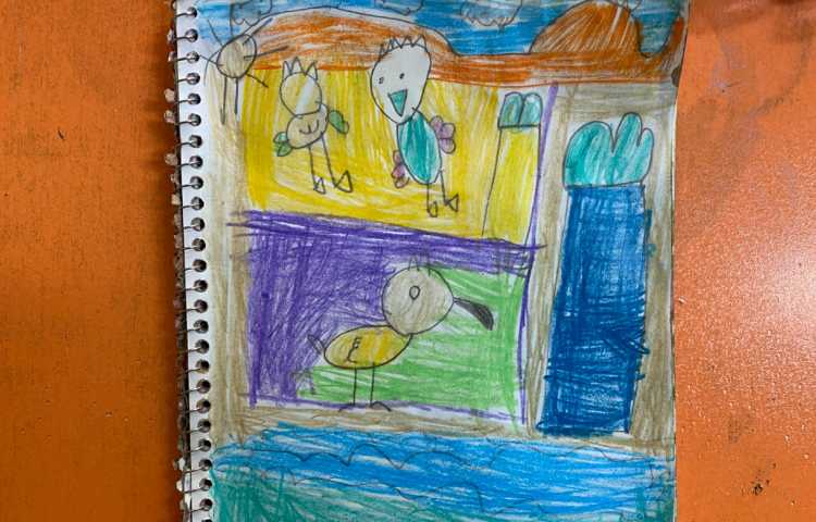 :نقاشی جوجه اردک از جهت‌های مختلف 8