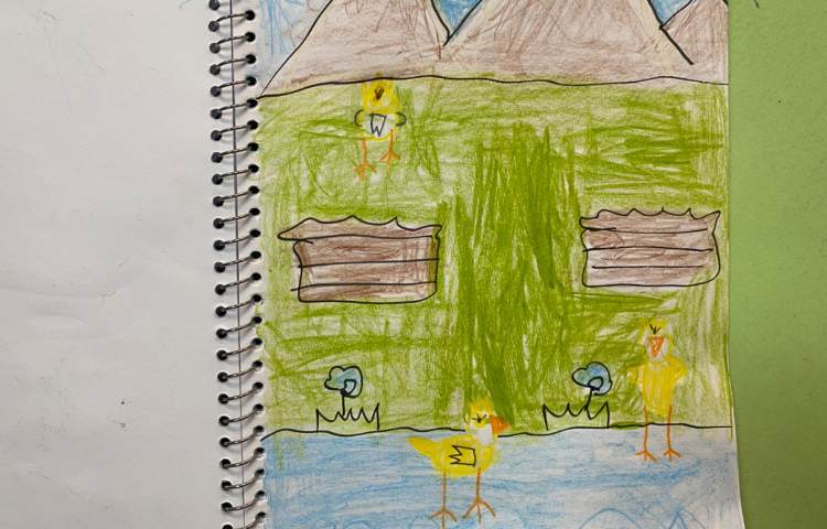 :نقاشی جوجه اردک از جهت‌های مختلف 9