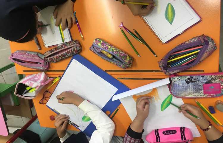 نقاشی حرفه ای سایه روشن گل 4