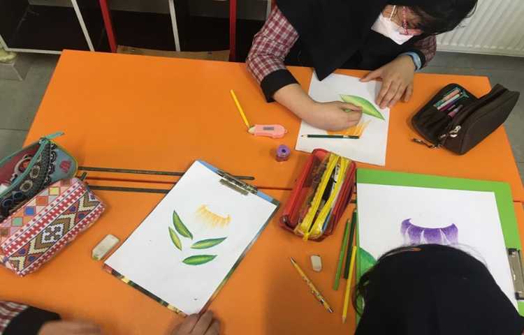 نقاشی حرفه ای سایه روشن گل 5