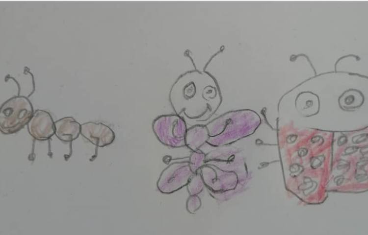 نقاشی خلاق حشرات 1