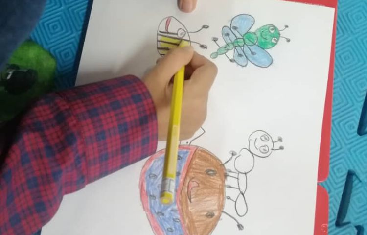 نقاشی خلاق حشرات 10