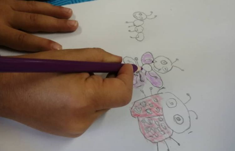 نقاشی خلاق حشرات 2