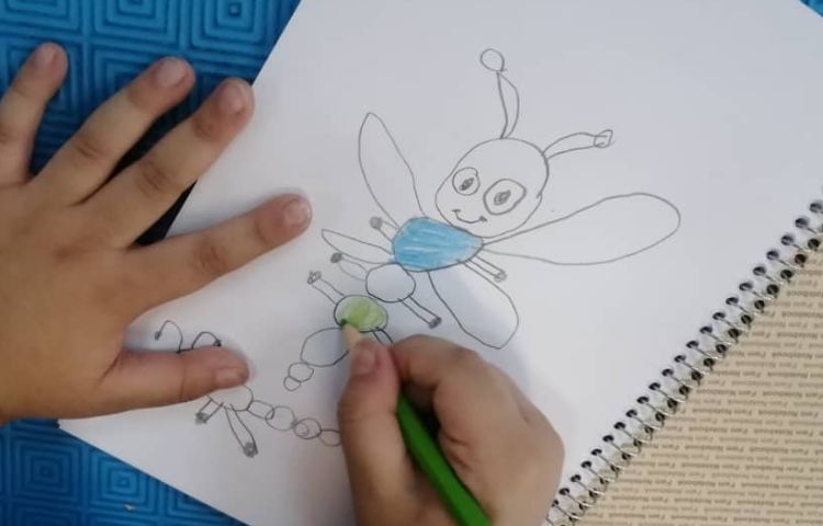 نقاشی خلاق حشرات 3