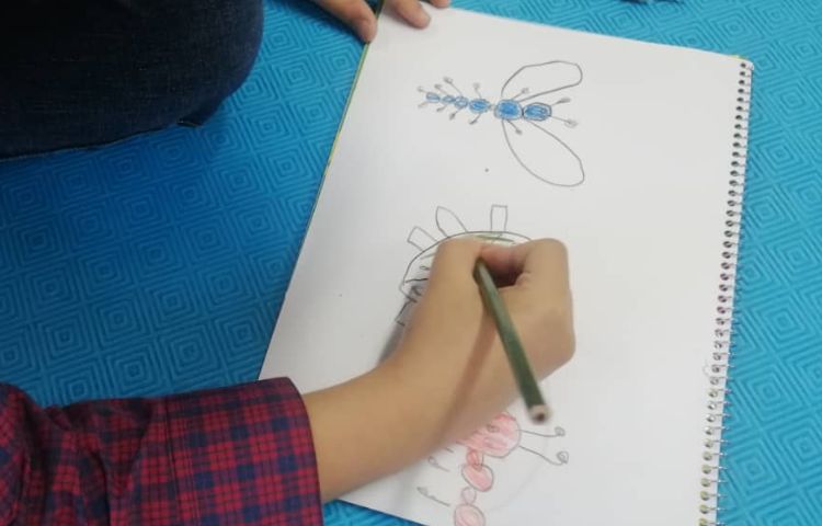 نقاشی خلاق حشرات 4
