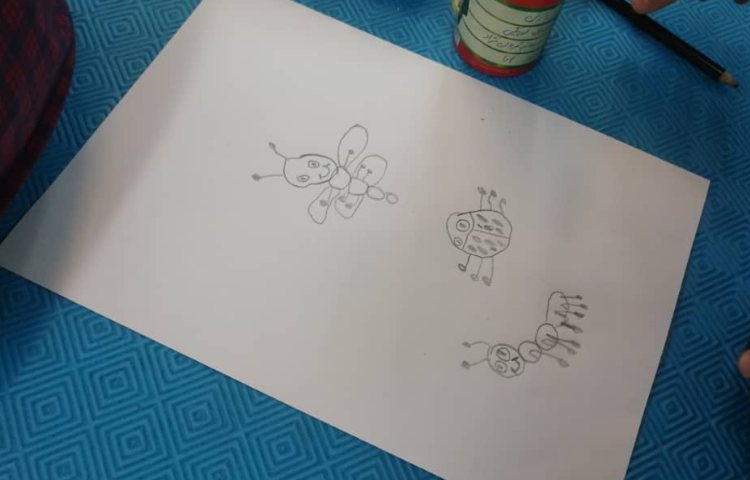 نقاشی خلاق حشرات 5