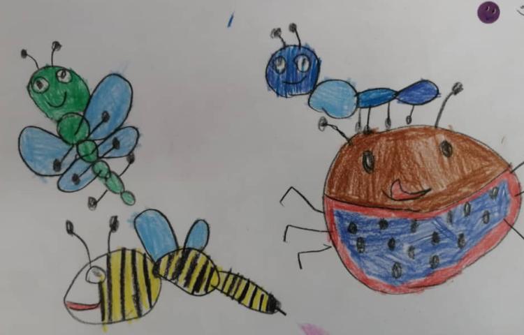 نقاشی خلاق حشرات 6