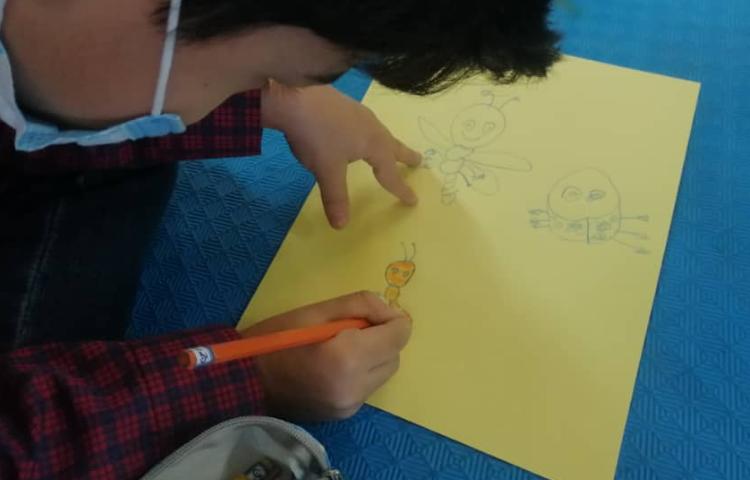 نقاشی خلاق حشرات 7