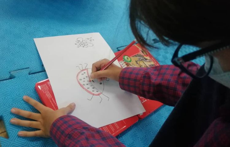 نقاشی خلاق حشرات 8